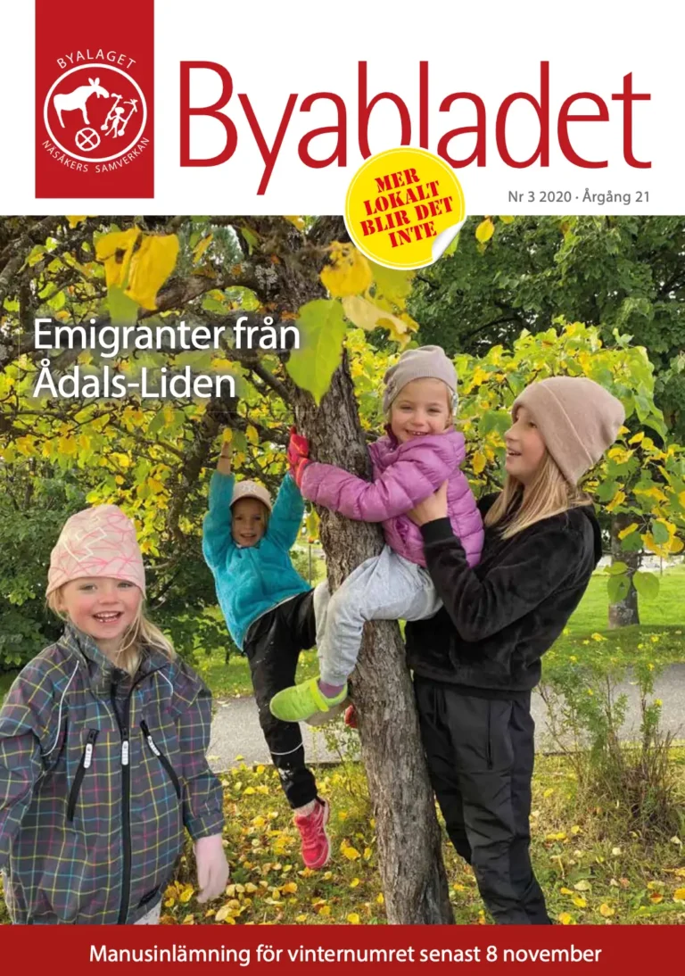 byablad nr3 2020