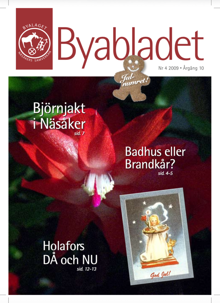 byabladet-4-2009-banner